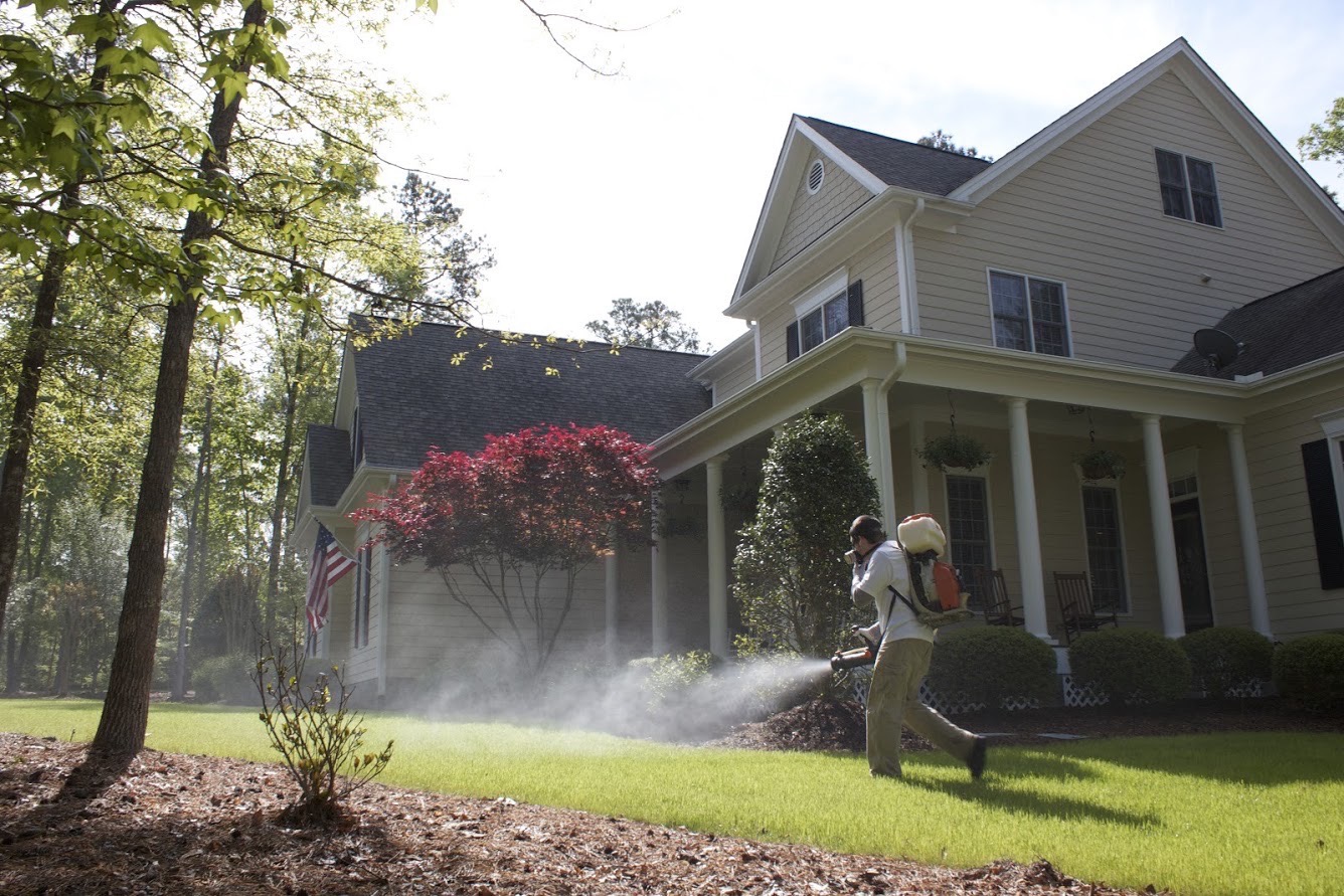 What To Look For In A Pest Exterminator Company