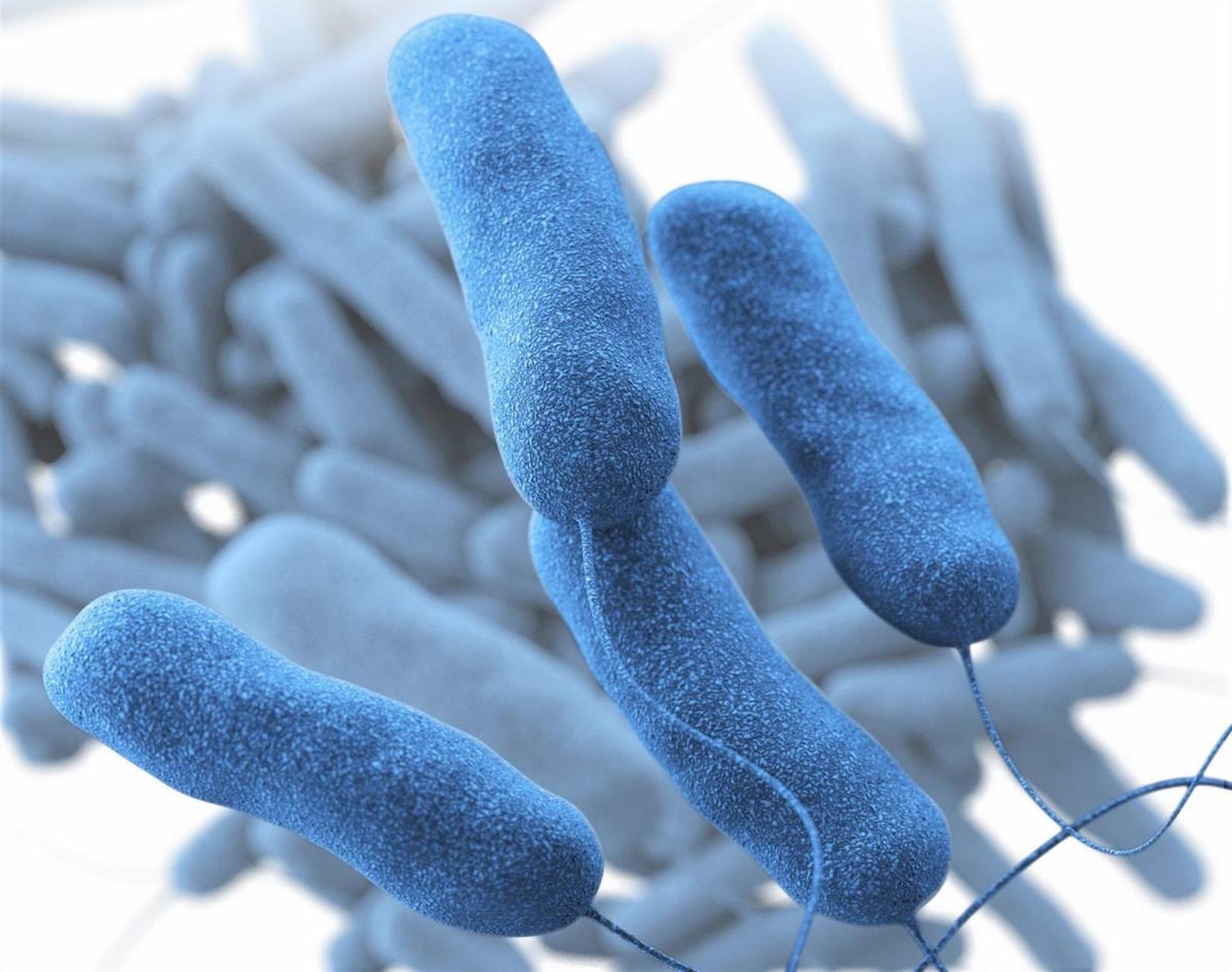 What Types Of Services Are Provided By Legionella Risk Experts?