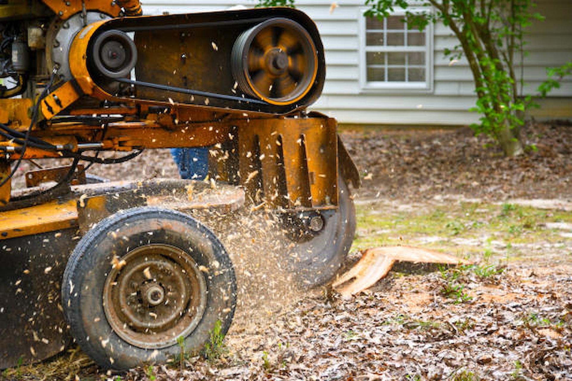 5 Super Amazing Benefits Of Stump Grinding For Your Yard